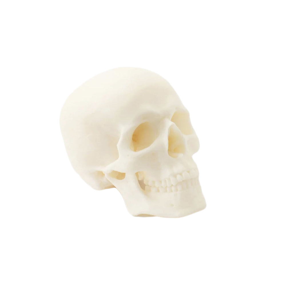 Exemple de print avec l'ABS Medical Natural de SmartMaterials