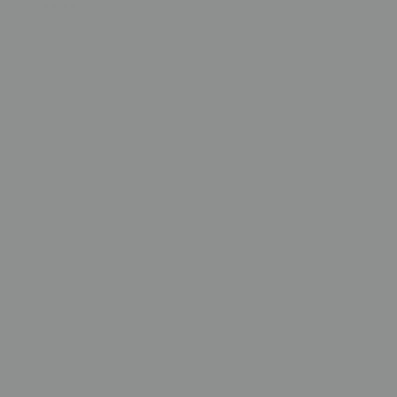 Chemica - Rouleau de Thermocollant de Hotmark Revolution - Argent (Silver) - 30 cm x 5 m