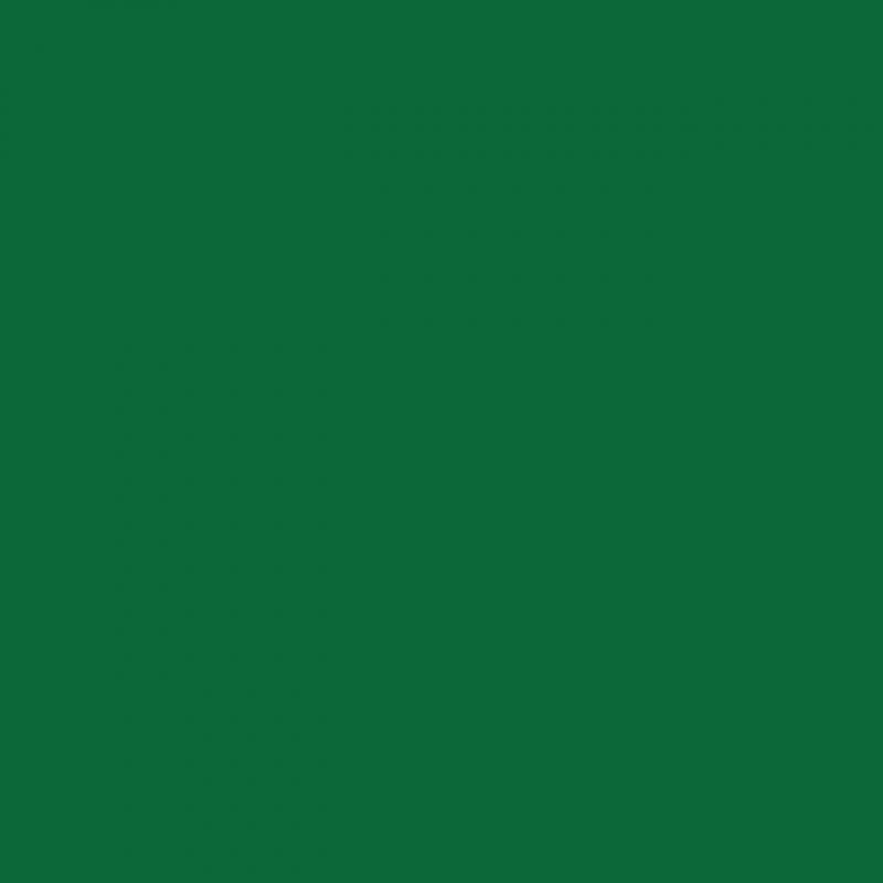 Chemica - Rouleau de Thermocollant de Hotmark Revolution - Vert Foncé (Dark Green) - 30 cm x 5 m