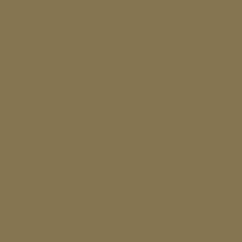 Chemica - Rouleau de Thermocollant de Hotmark Revolution - Or (Gold) - 30 cm x 5 m