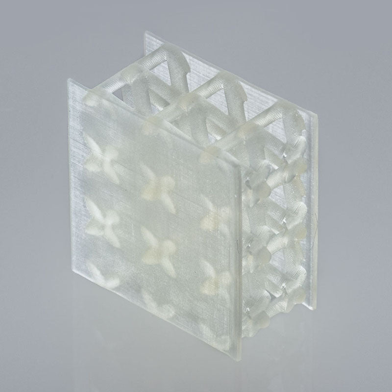 BASF/ForwardAM - Ultracur3D FL 60 - 1 kg
