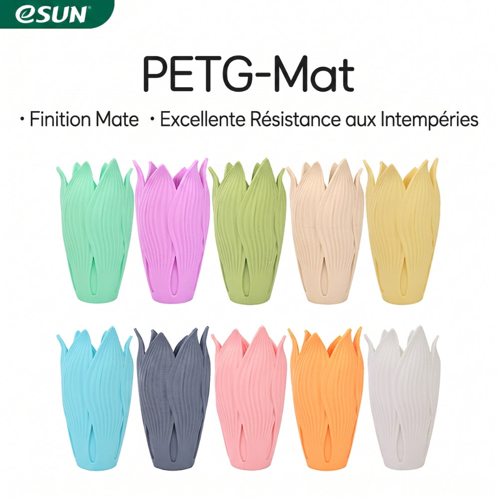 eSun - PETG-Matte - Vert Menthe (Mint Green) - 1,75 mm - 1 kg Refill avec RFID TigerTag