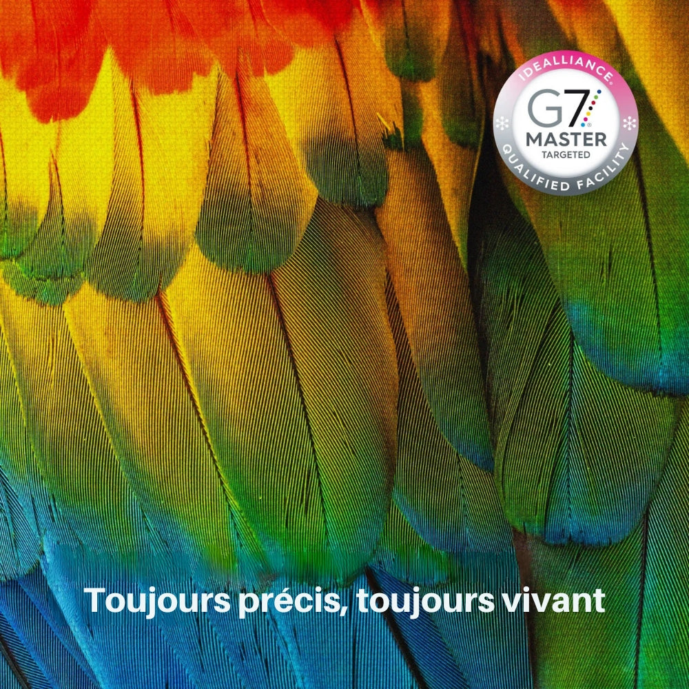 xTool - Poudre DTF pour Apparel Printer